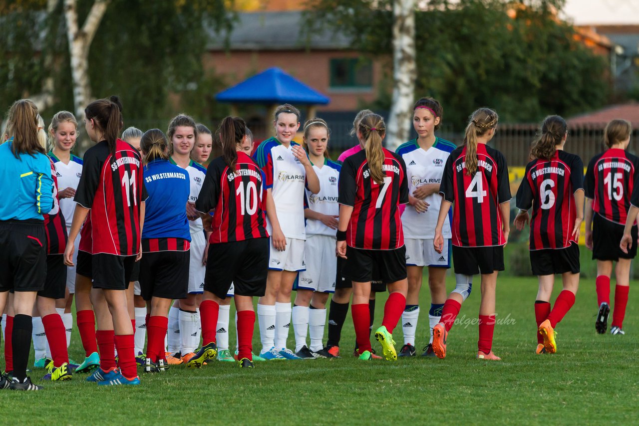 Bild 346 - B-Juniorinnen SG Wilstermarsch - SV Henstedt Ulzburg : Ergebnis: 5:1